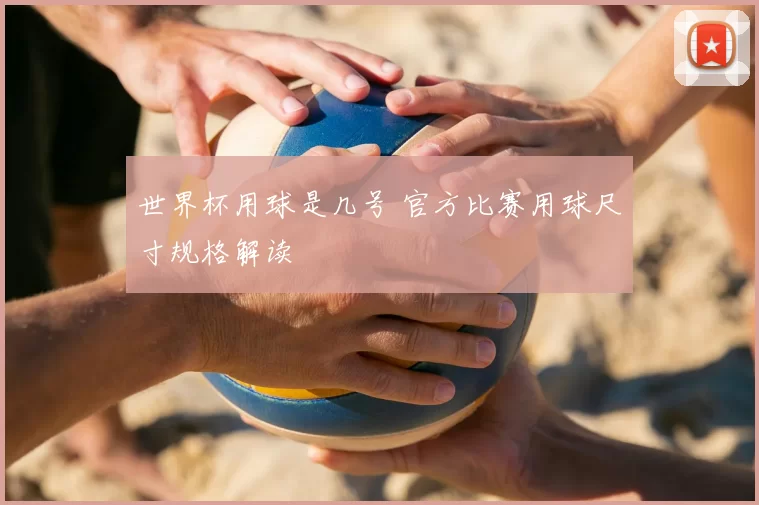 世界杯用球是几号 官方比赛用球尺寸规格解读