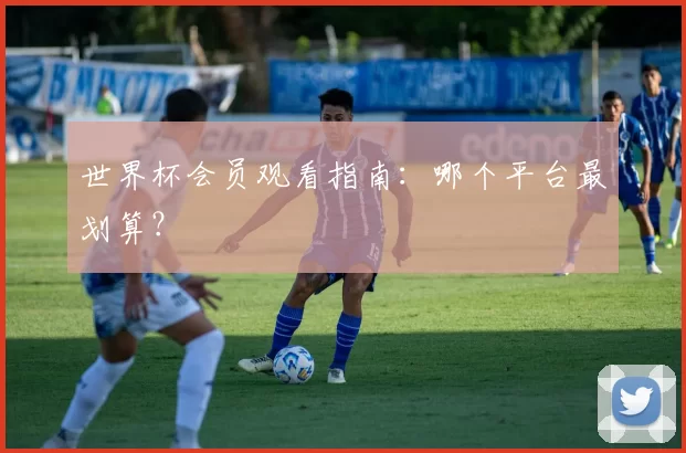 世界杯会员观看指南:哪个平台最划算?