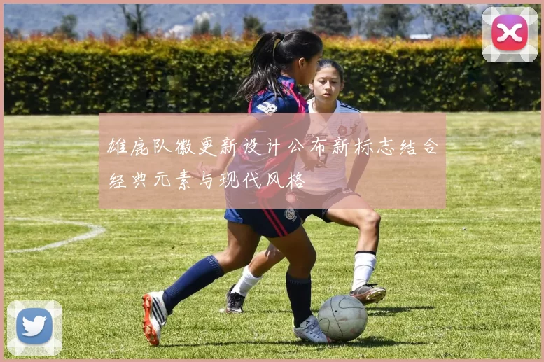 雄鹿队徽更新设计公布新标志结合经典元素与现代风格