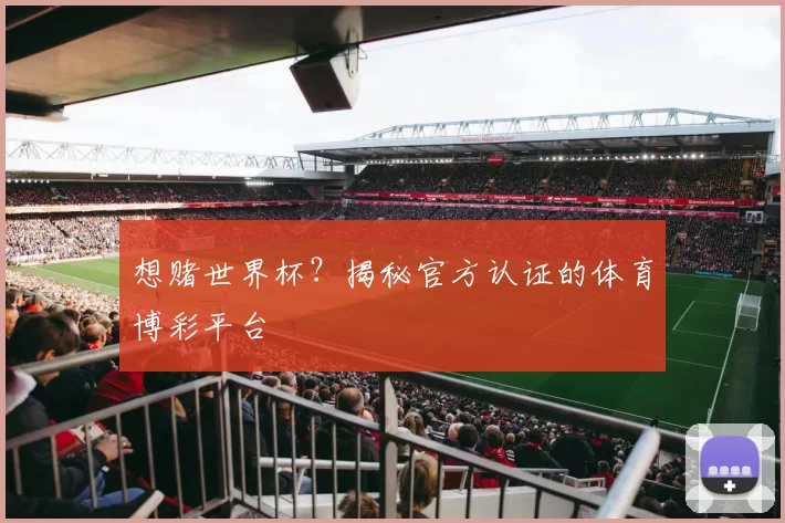 想赌世界杯？揭秘官方认证的体育博彩平台