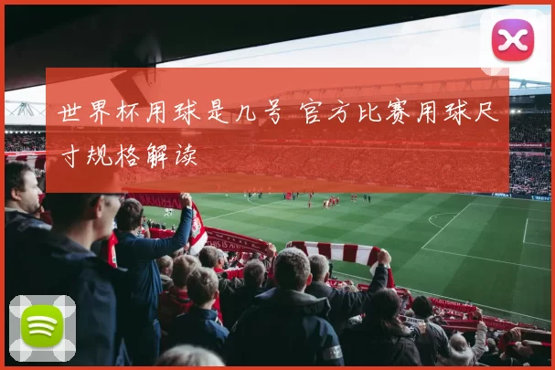 世界杯用球是几号 官方比赛用球尺寸规格解读