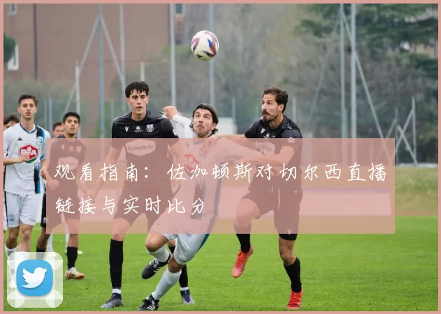 观看指南:佐加顿斯对切尔西直播链接与实时比分