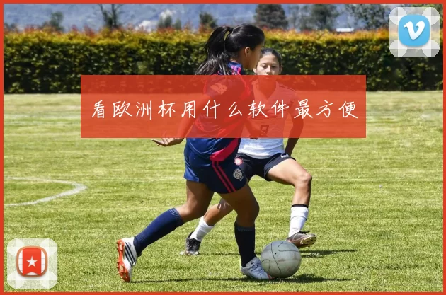 看欧洲杯用什么软件最方便