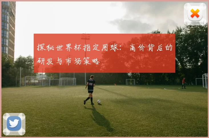 探秘世界杯指定用球：高价背后的研发与市场策略